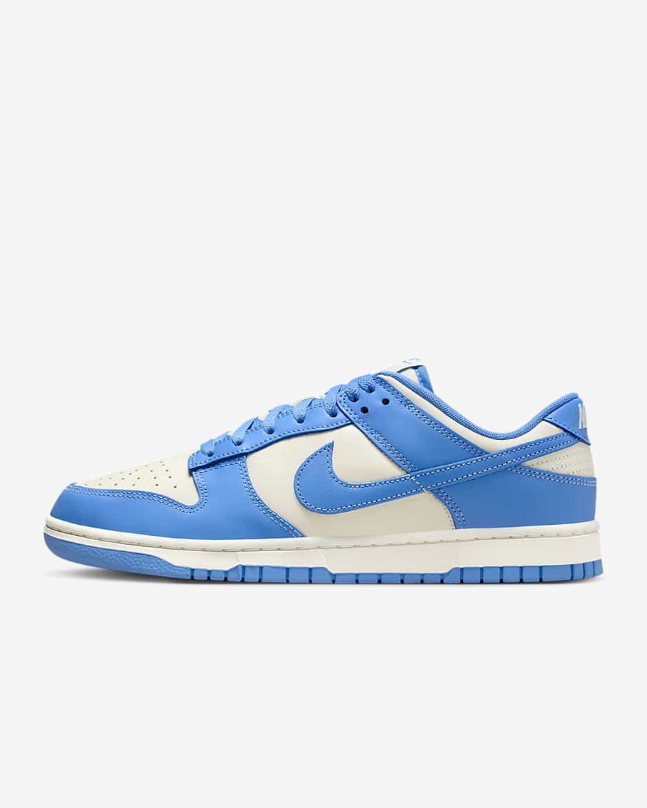 Nike Dunk Low Retro Men's Shoes